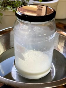 Jar of sourdough yoghurt starter sitting in a bowl of water