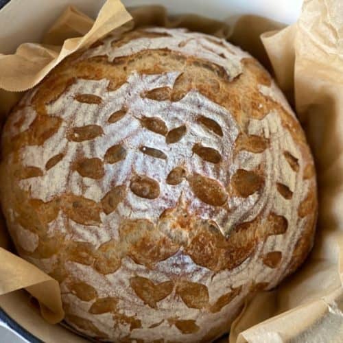 Close up of a freshly baked sourdough loaf.
