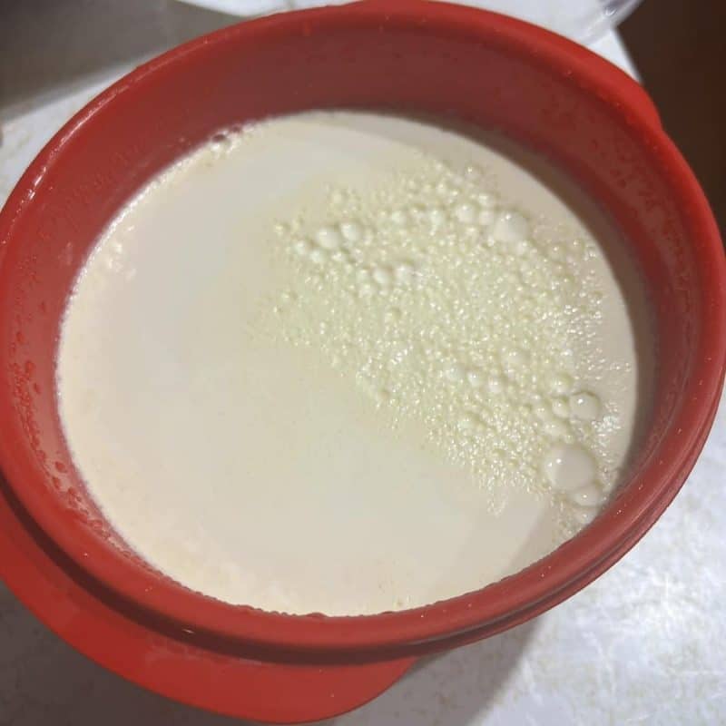 Yoghurt in a decor pot showing how set it is